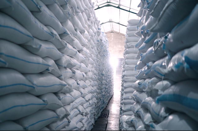 Stock Terjamin: Menyediakan Beras Berkualitas dengan Jaminan Ketersediaan